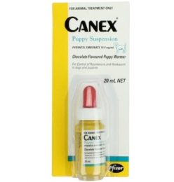 canex puppy suspension