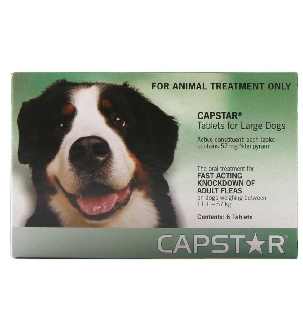 Capstar 57 Flea Treatment Dog 12kg57kg Swanbourne Vet Centre