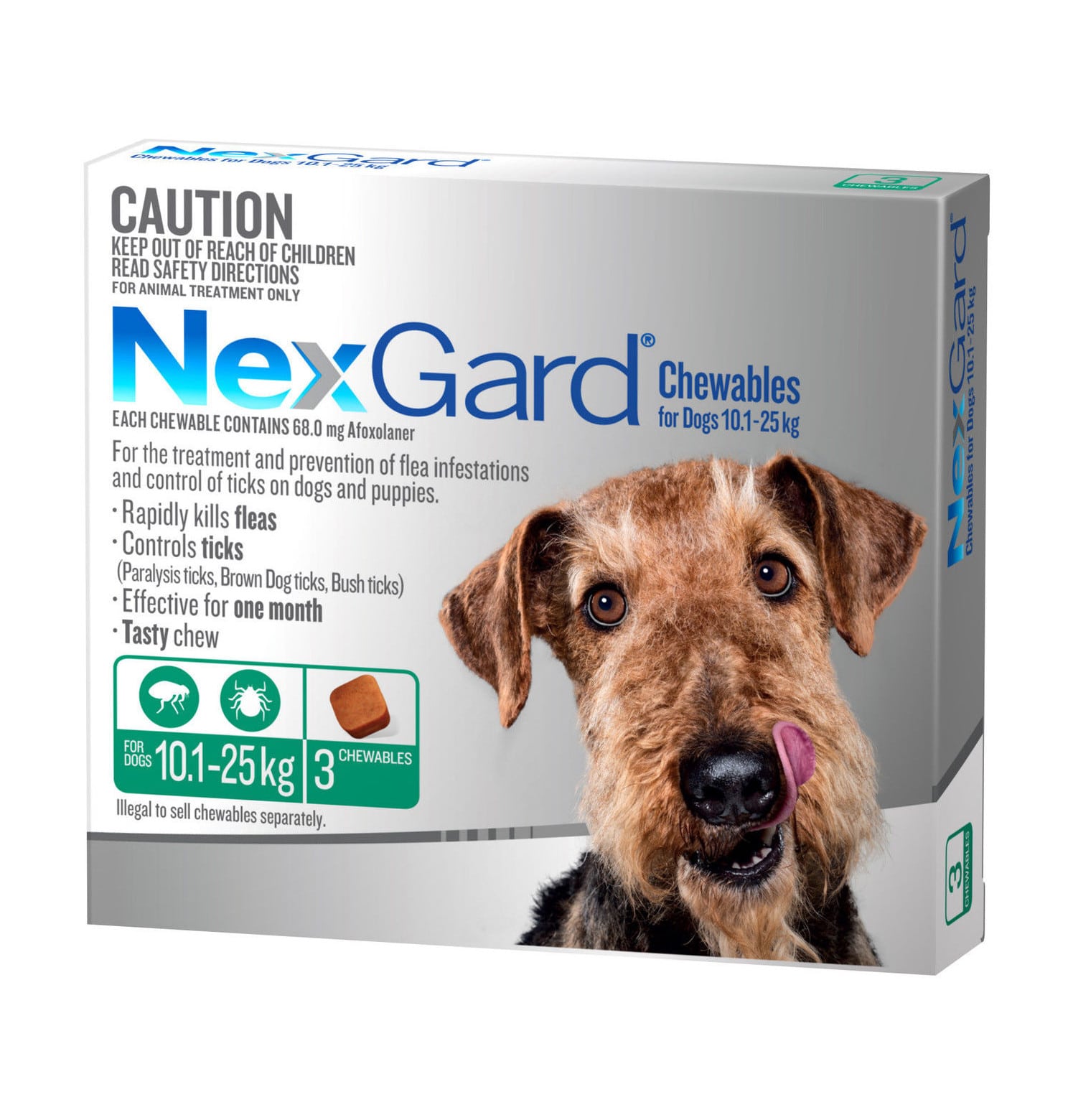Nexgard Dog Treatment
