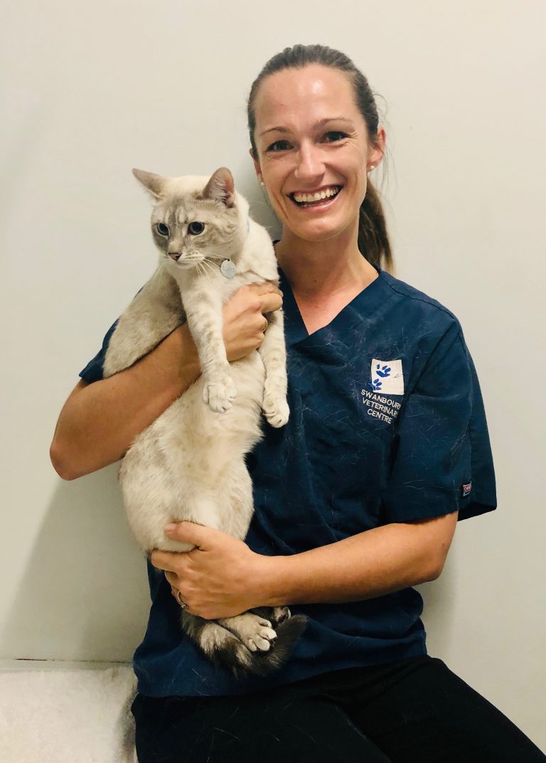 Team Members Swanbourne Vet Centre
