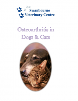 Osteoarthritis in Dogs and Cats